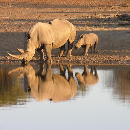 Etali Safari Lodge マディクウェ野生保護区 エクステリア 写真